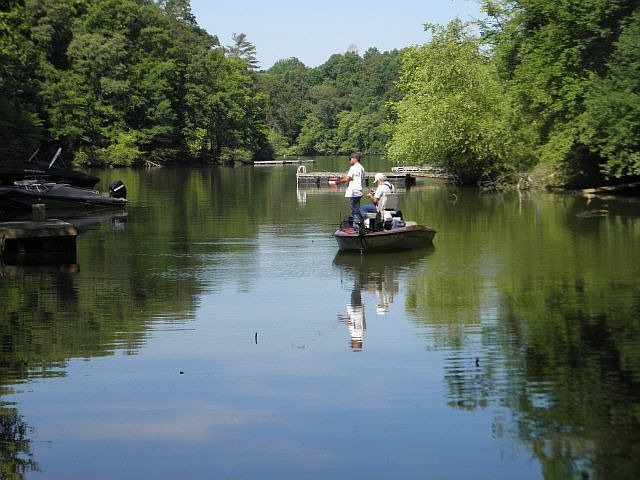 Fishing on the Cove