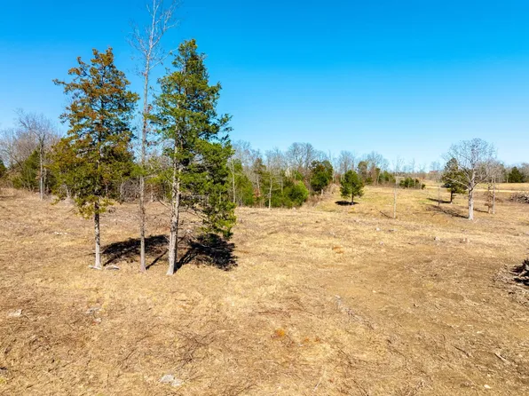 Havenwood Rd, Viola, AR 72583