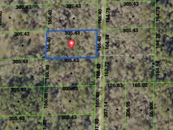 TBD PACKINGHAM DRIVE LOT 5, WEBSTER, FL 33597