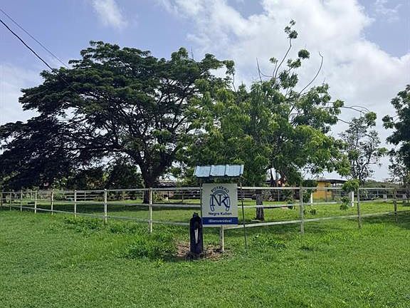 4th image of CARR 690 KM 3.2 BO SABANA HOYOS