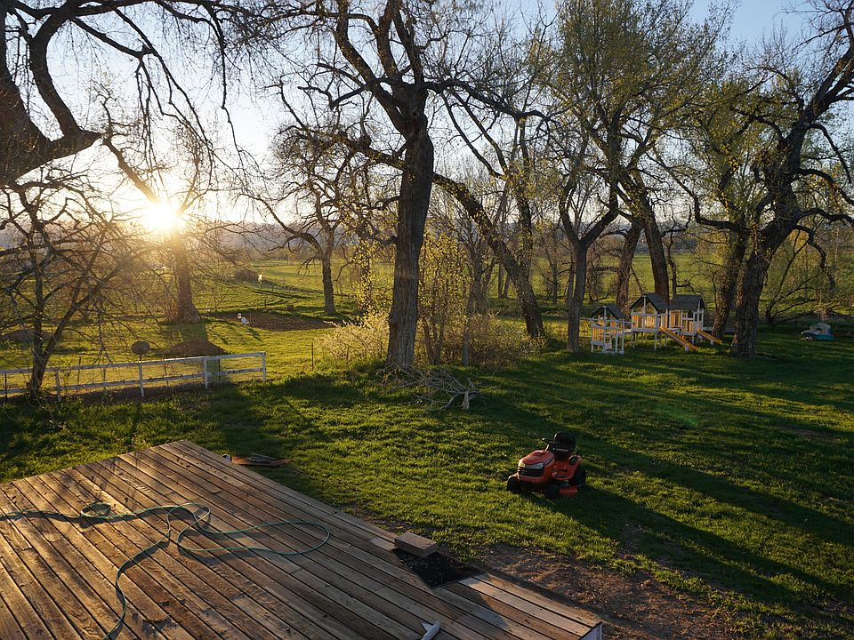 View from back porch
