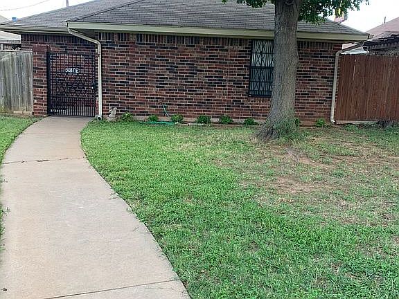 Large shady oak tree