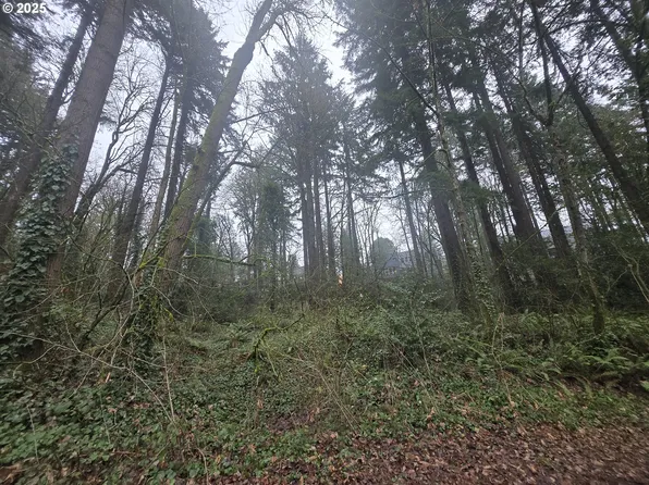 SW Levy Code #1, Portland, OR 97239