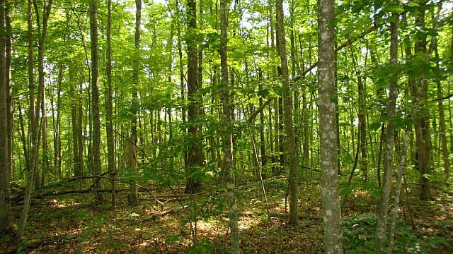 1st image of 2588 Pickett Park Hwy