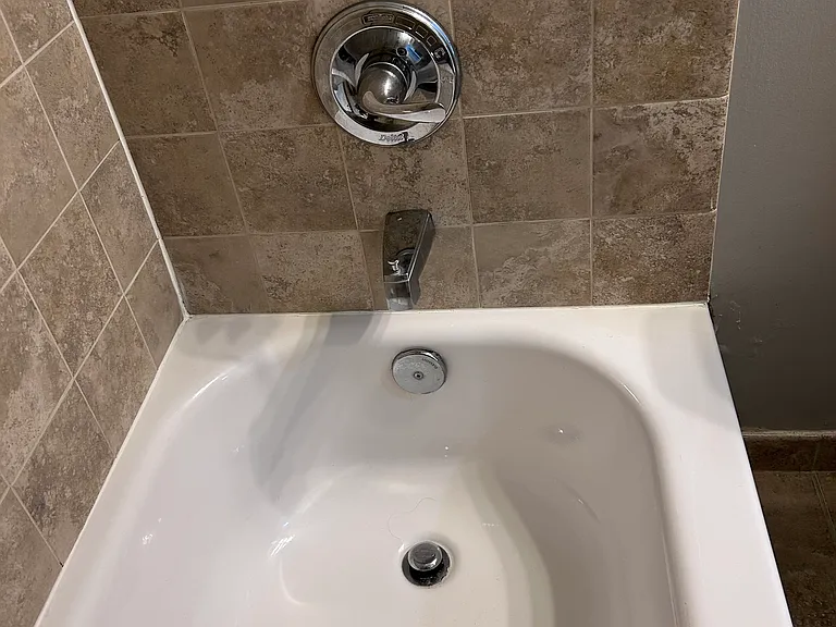 Primary bath tub and shower