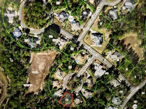 9 Stokesia Ct N, Homosassa, FL 34446