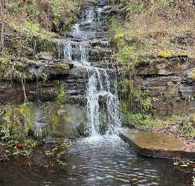 1st image of 886 County Road 19