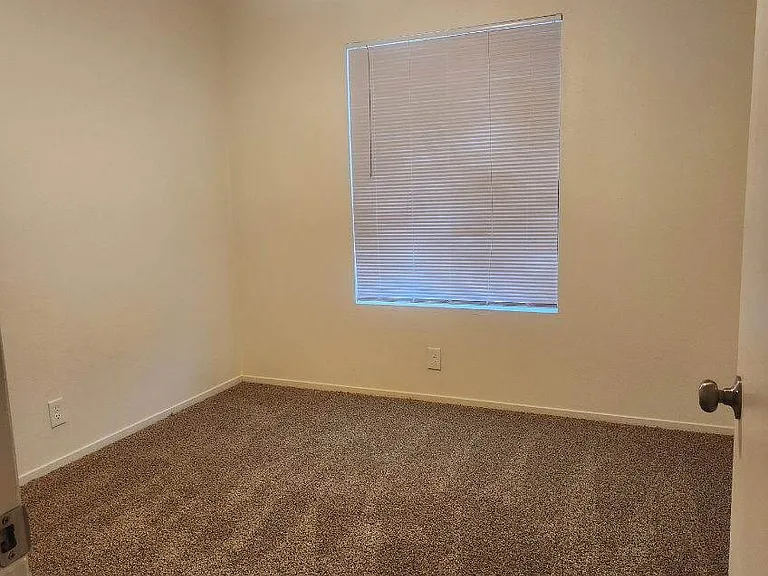 New Carpet