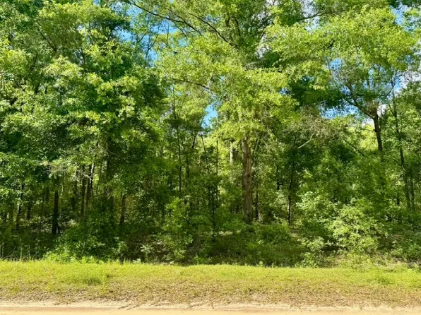 LOT 52 NW 28th Ter, Jennings, FL 32053