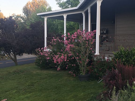 5th image of 1245 Suzanne Dr