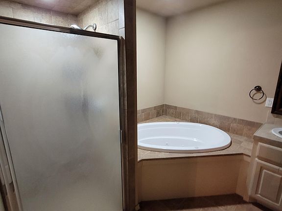 Master bath and shower