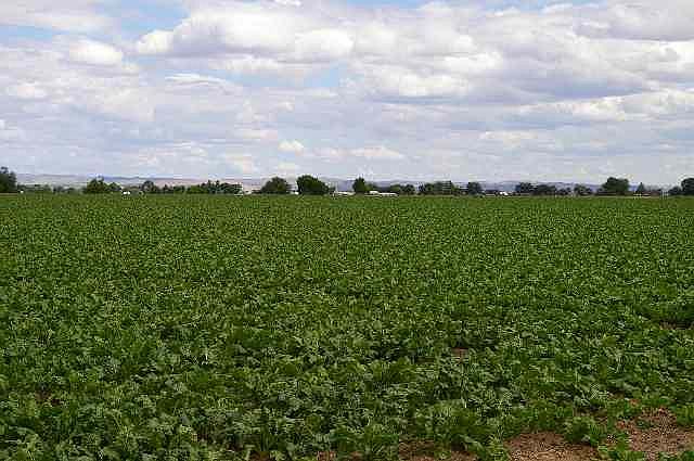 2nd image of Tbd Indianhead Rd