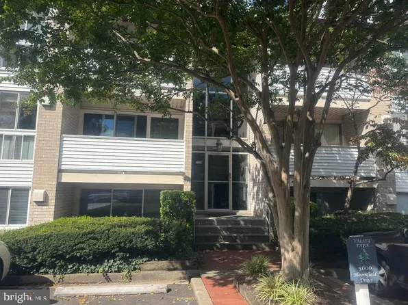 5600 Bloomfield Dr APT 203, Alexandria, VA 22312