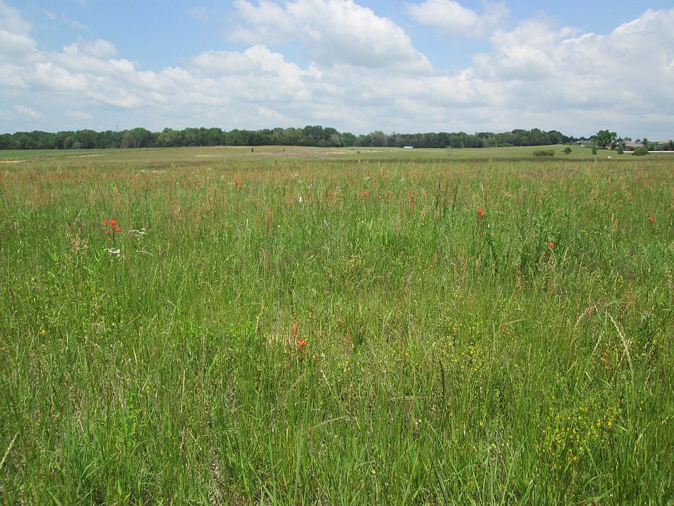 2nd image of 00 Cr 1259