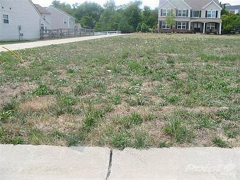 3rd image of 1019 Hunterallen Dr