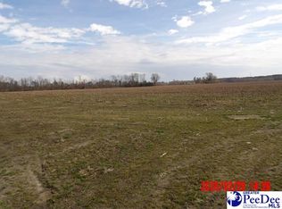 County Line Rd, Little Rock, SC 29567