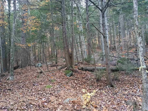 Map 234 Lot 4 Nye Road, Acworth, NH 03601