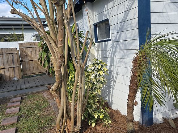 3rd image of 923 1/2 15th Ave S