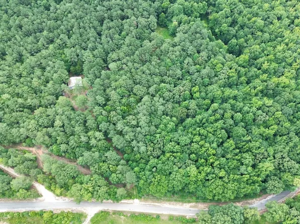 1412 Swor Rd, Springville, TN 38256