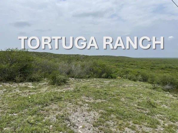 Persimmon Rd, Freer, TX 78357