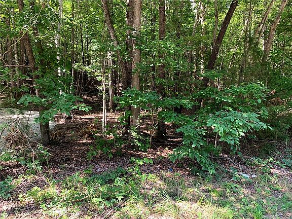 3rd image of 0 Highway 55 Hwy W Lot A