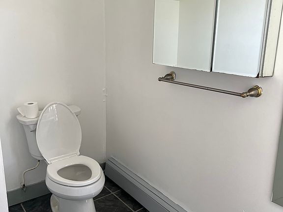 toilet & medicine cabinet