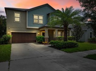 14273 Blue Dasher Dr, Riverview, FL 33569