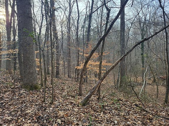 3rd image of 1 Indian Creek Rd