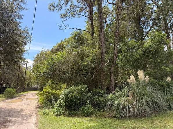 5710 S LEOPARD POINT LOT 12, HOMOSASSA, FL 34446