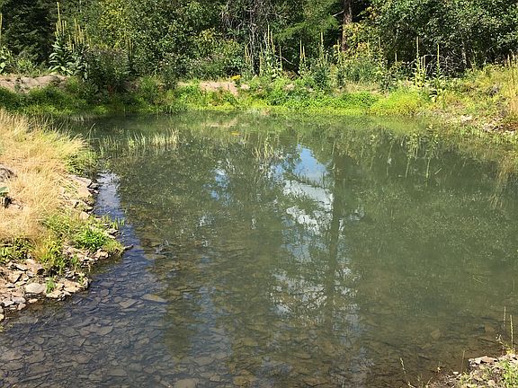 Small spring feed pond