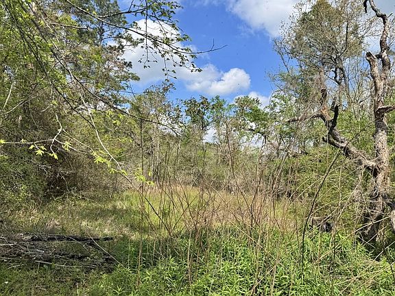 5th image of 251 William Thomas Rd