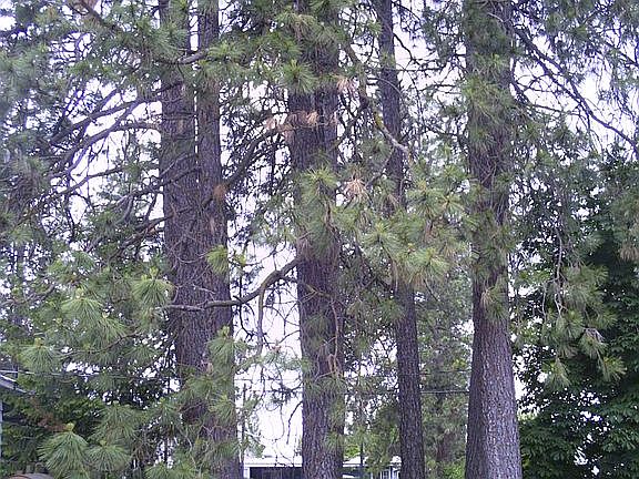 4th image of 312 W 21st Ave