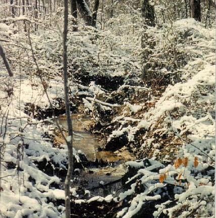 Creek in snow