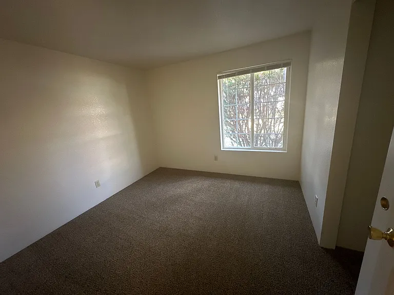 61823 Avonlea Cir — Photo 13