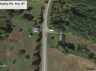 11247 Murphy Rd, Ava, NY 13303