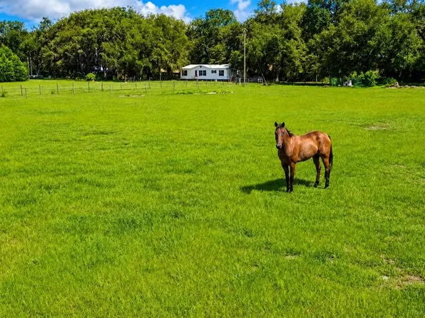 14240 SR 471, WEBSTER, FL 33597