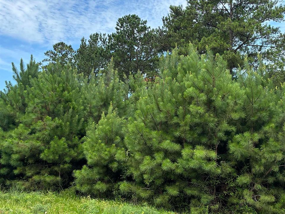 1st image of 0 Canoe Rd