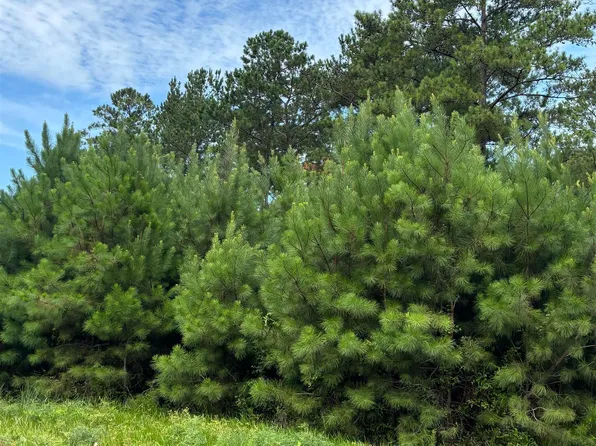 0 Canoe Rd, Andalusia, AL 36421