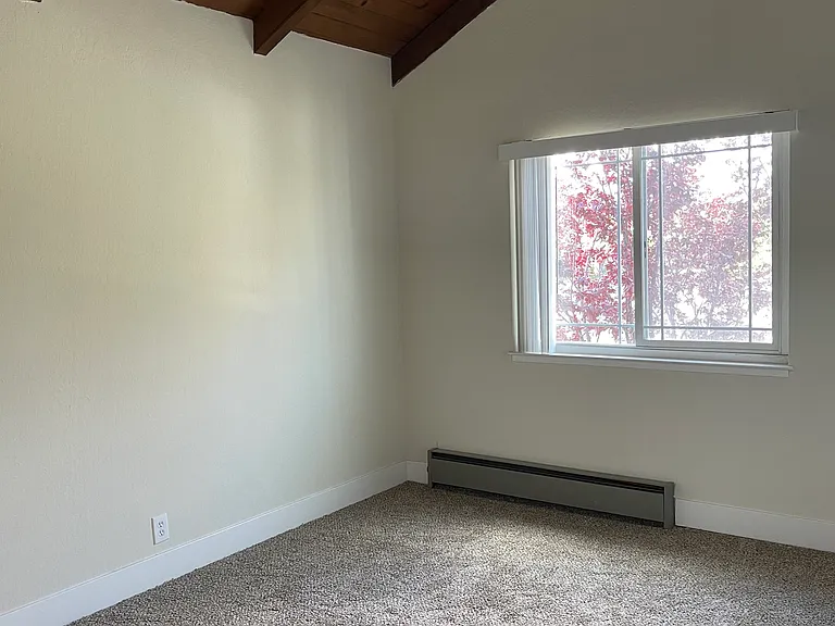 607 Timberpine Ave #4 — Photo 8