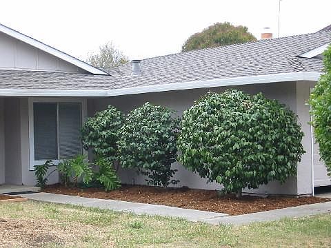 3rd image of 408 Royal Oaks Dr
