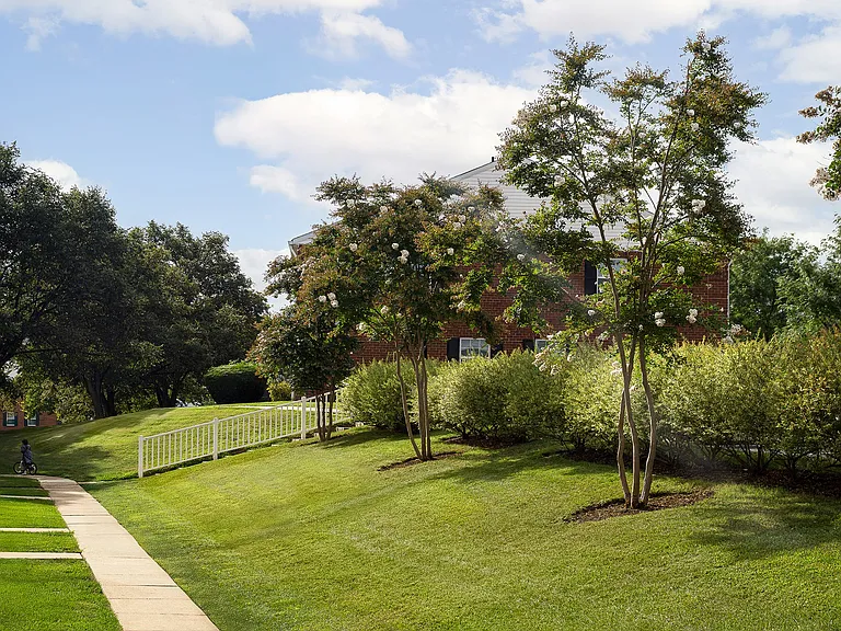 Chadwick Manor Townhomes — Photo 45