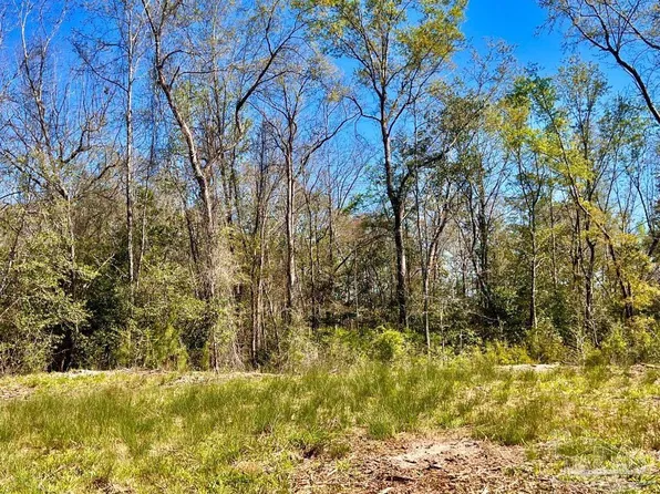 LOT 8C Cotton Lake Rd, Molino, FL 32577