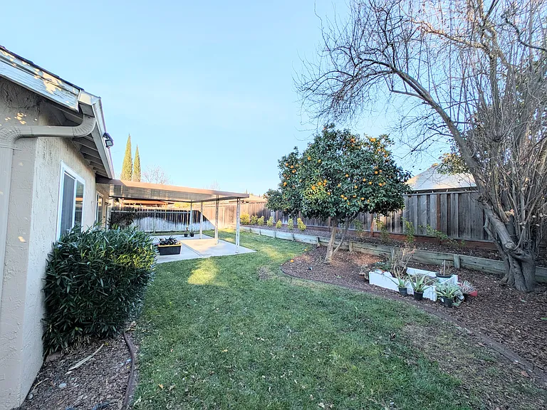 Backyard - view 4