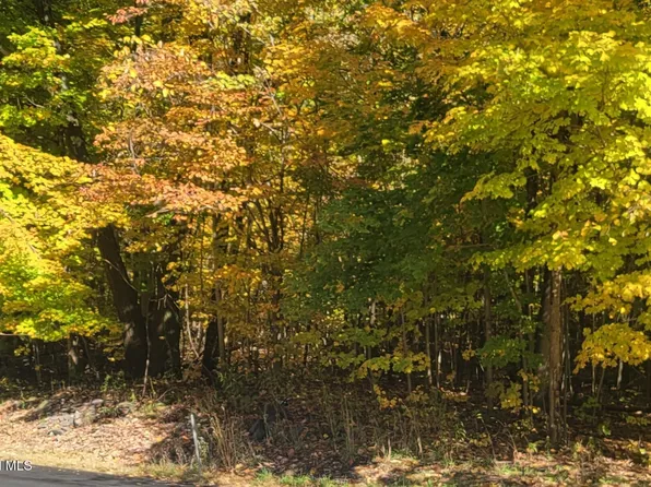 L3 Route 145, Cairo, NY 12413