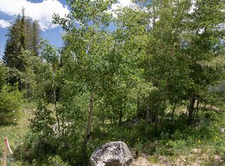 684 Vasquez Rd, Winter Park, CO 80482