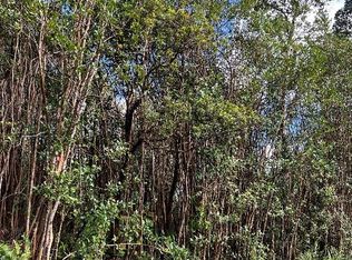 Ohia Ave, Mountain View, HI 96771