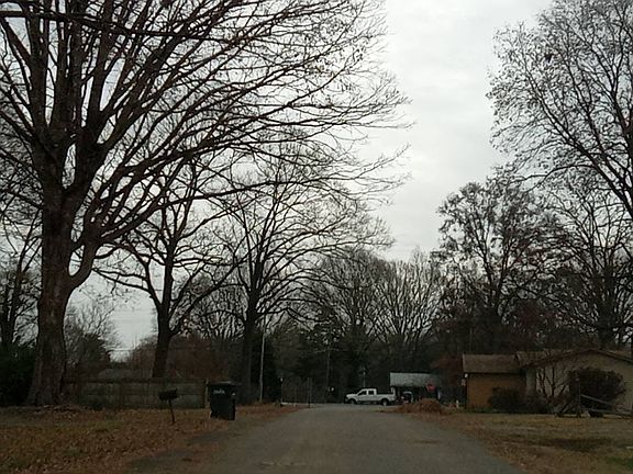4th image of 1609 Dogwood Ln