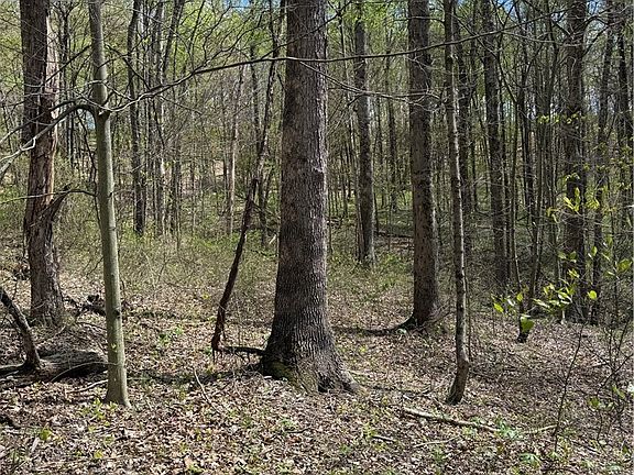 4th image of Plainview Rd