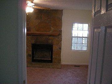 wood burning fireplace