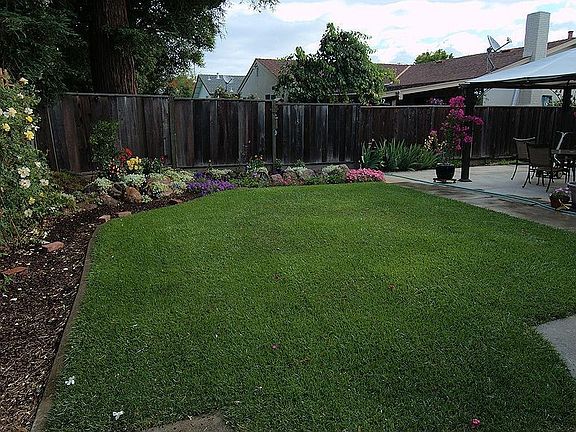 landscaped backyard